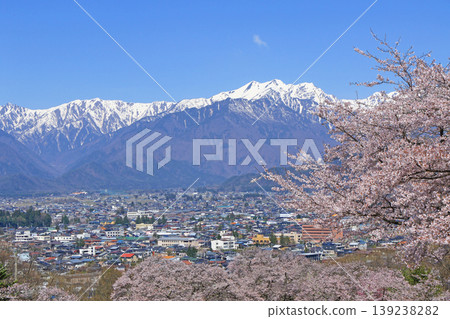 信濃大町的春天：櫻花和殘雪的北阿爾卑斯 139238282