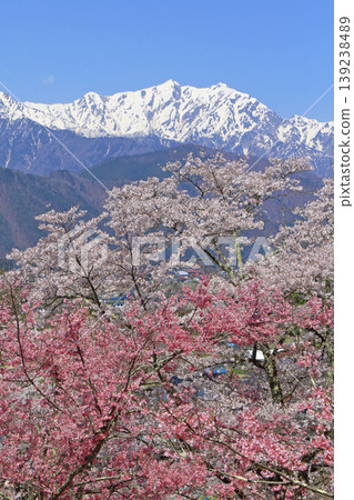 Spring in Shinano Omachi: Northern Alps with cherry blossoms and residual snow Spring in Shinano Omachi: Northern Alps with cherry blossoms and residual snow 139238489