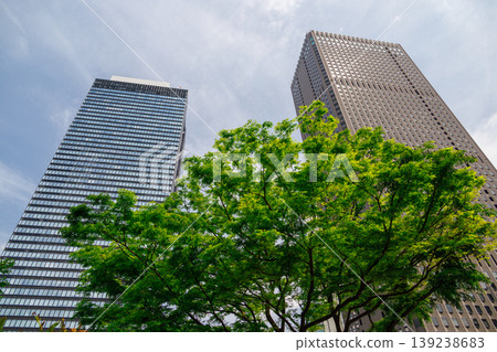 許多綠色辦公室街道風景 139238683