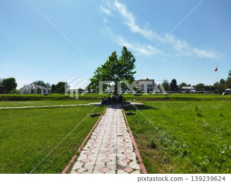 A sunny sky park 139239624