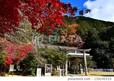秋天的高座神社 139240319