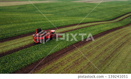 Work in progress. Aerial view of beet harvester on the green agricultural field Work in progress. Aerial view of beet harvester on the green agricultural field 139241051