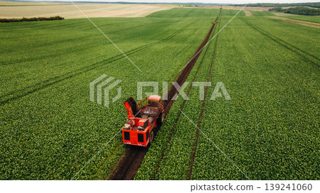 Red colored machine. Aerial view of beet harvester on the green agricultural field Red colored machine. Aerial view of beet harvester on the green agricultural field 139241060