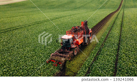 Aerial view of beet harvester on the green agricultural field Aerial view of beet harvester on the green agricultural field 139241066