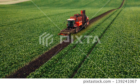 Aerial view of beet harvester on the green agricultural field 139241067