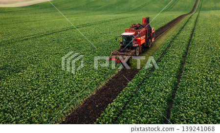 Aerial view of beet harvester on the green agricultural field 139241068