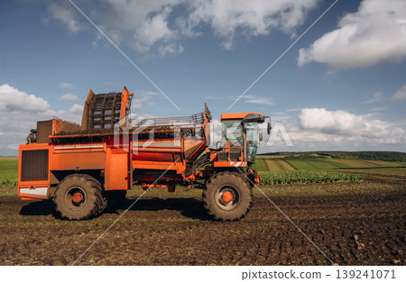 Beet harvester is on the agricultural field at daytime Beet harvester is on the agricultural field at daytime 139241071