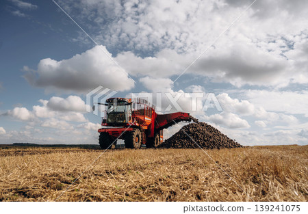 A lot of vegetables, raw food. Beet harvester is on the agricultural field at daytime 139241075