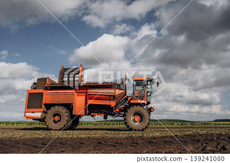 Beet harvester is on the agricultural field at daytime 139241080