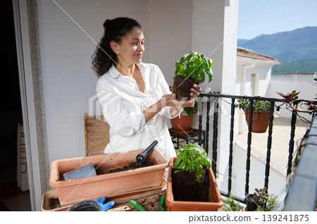 Woman Planting Basil on a Sunny Balcony While Gardening and Repotting Herbs Woman Planting Basil on a Sunny Balcony While Gardening and Repotting Herbs 139241875