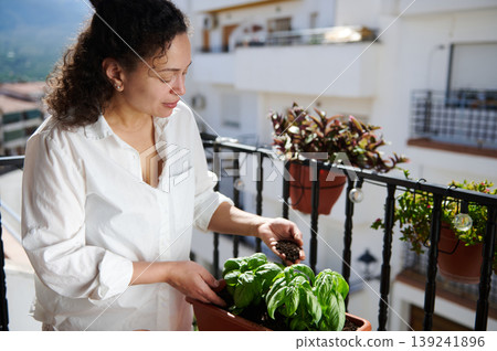 Woman Gardening On Balcony Potting Basil Plants In Sunny Apartment Woman Gardening On Balcony Potting Basil Plants In Sunny Apartment 139241896