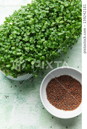 Fresh green microgreens growing next to a bowl of seeds 139242181