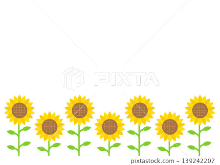 Sunflower (Himawari) copy space illustration background material Sunflower (Himawari) copy space illustration background material 139242207