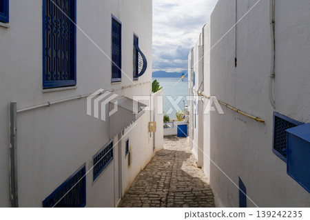Landscape of Sidi Bou Said, Tunis, Tunisia Landscape of Sidi Bou Said, Tunis, Tunisia 139242235