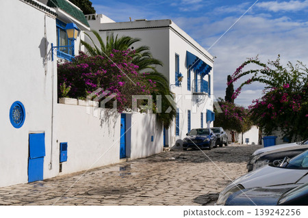 Landscape of Sidi Bou Said, Tunis, Tunisia Landscape of Sidi Bou Said, Tunis, Tunisia 139242256