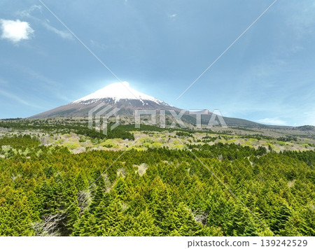 無人機拍攝的畫面展現了初夏時節富士山鬱鬱蔥蔥的山麓景色。 139242529