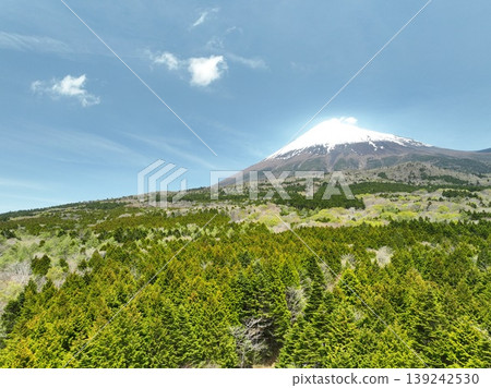 無人機拍攝的畫面展現了初夏時節富士山鬱鬱蔥蔥的山麓景色。 139242530