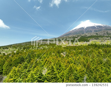 無人機拍攝的畫面展現了初夏時節富士山鬱鬱蔥蔥的山麓景色。 無人機拍攝的畫面展現了初夏時節富士山鬱鬱蔥蔥的山麓景色。 139242531