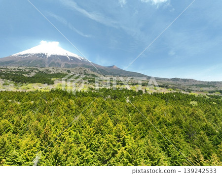 無人機拍攝的畫面展現了初夏時節富士山鬱鬱蔥蔥的山麓景色。 139242533