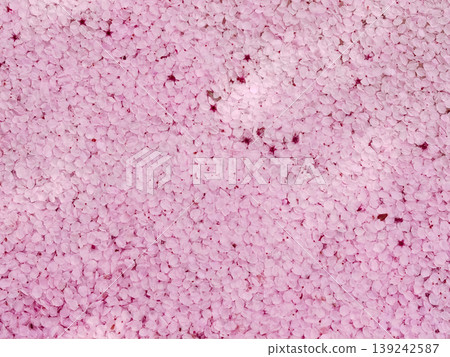 Pink petals backgrounds 139242587