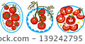 Tomato plates set, fresh tomatoes and slices, food illustration 139242795