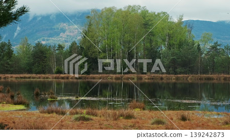 Bog lake landscape with forest under sky with clouds Bog lake landscape with forest under sky with clouds 139242873
