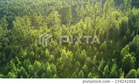 High Tatras mountains forest aerial view High Tatras mountains forest aerial view 139242888
