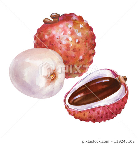 Watercolor illustration of tropical lychee fruits. Composition with one whole pink textured fruit, one peeled white juicy fruit, and one half-cut lychee showing the dark brown glossy seed on a 139243102