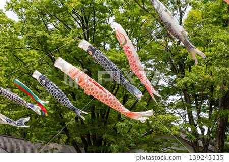 鯉魚幡在天上游 139243335
