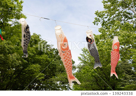 鯉魚幡在天上游 139243338