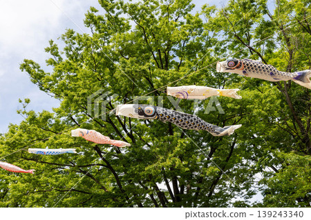 鯉魚幡在天上游 139243340