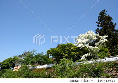 岐阜縣美濃市小倉山城遺址(第28站) - 2025年5月 岐阜縣美濃市小倉山城遺址(第28站) - 2025年5月 139243634