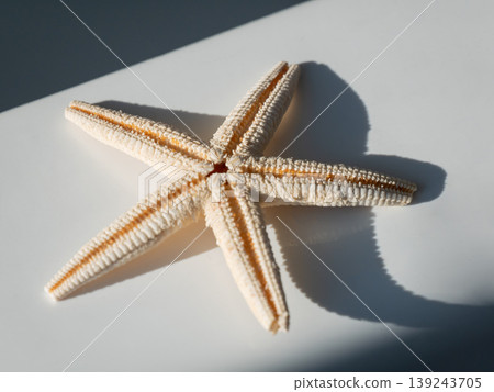 Dried starfish resting on smooth white surface. Marine life concept with intricate texture and shadow. Minimalist decoration for beach themed interior design or nautical vacation decor. 139243705