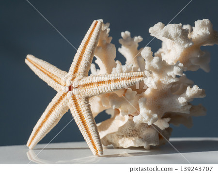 Starfish leaning against white coral on smooth surface. Marine life decor composition. Nautical background for summer travel theme and underwater nature concept for home interior design. Starfish leaning against white coral on smooth surface. Marine life decor composition. Nautical background for summer travel theme and underwater nature concept for home interior design. 139243707