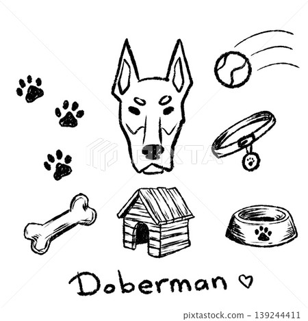 Doberman pinscher doodle set, hand drawn dog breed head with collar, ball and house. Sketch pet animal elements, canine portrait. Doberman pinscher collection Doberman pinscher doodle set, hand drawn dog breed head with collar, ball and house. Sketch pet animal elements, canine portrait. Doberman pinscher collection 139244411