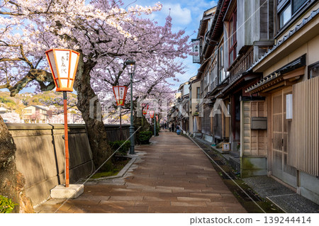 Cherry blossom trees lining the Kazue-machi teahouse district in Kanazawa and the streetscape along the Asano River. Cherry blossom trees lining the Kazue-machi teahouse district in Kanazawa and the streetscape along the Asano River. 139244414