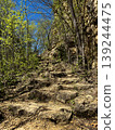 Rocky Forest Hiking Trail Through Woodland Cliffside Nature Path Scenic Outdoor Adventure Landscape Mountain Trail Photography 139244475
