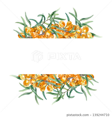 Sea buckthorn berries template for text insertion. Hand drawn watercolor botanical illustration of healthy berry, isolated. Suitable for food labels, tea, oil and cosmetics. Sea buckthorn berries template for text insertion. Hand drawn watercolor botanical illustration of healthy berry, isolated. Suitable for food labels, tea, oil and cosmetics. 139244710