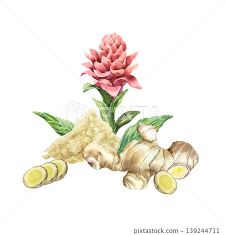 Ginger root, dried powder, pink flower and green leaves. Hand drawn watercolor botanical illustration, isolated. Spice herb for food label design, natural cosmetics and medicine. Ginger root, dried powder, pink flower and green leaves. Hand drawn watercolor botanical illustration, isolated. Spice herb for food label design, natural cosmetics and medicine. 139244711