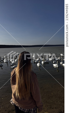 Serene Moment by the Water with Swans in the Background Serene Moment by the Water with Swans in the Background 139244985