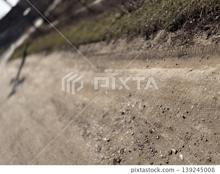 Serene Dirt Pathway with Natural Textures in Soft Light Serene Dirt Pathway with Natural Textures in Soft Light 139245008