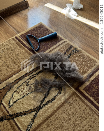 Pet Grooming Essentials Removing Shedding Fur from Carpet Pet Grooming Essentials Removing Shedding Fur from Carpet 139245011