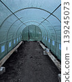 Inside a Greenhouse Cultivating Plants in a Controlled Environment 139245073