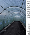 Interior of a Greenhouse with Arched Structure and Soil Beds 139245082