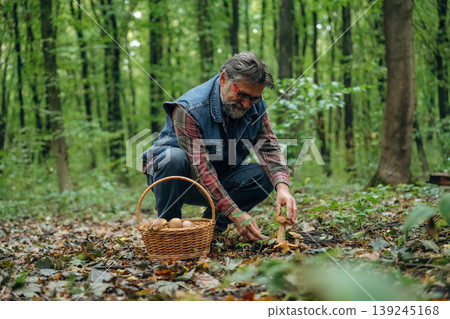 View from the side, sitting. Mushroom picking. Man is in the forest at daytime View from the side, sitting. Mushroom picking. Man is in the forest at daytime 139245168