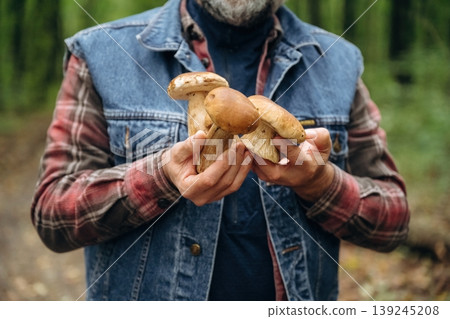 Collected bunch of them. Close up view of man that is doing mushroom picking in the forest 139245208