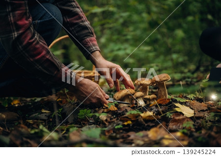 Holding the basket. Close up view of man that is doing mushroom picking in the forest Holding the basket. Close up view of man that is doing mushroom picking in the forest 139245224