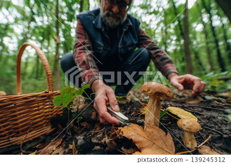 Fresh raw food. Mushroom picking. Man is in the forest at daytime Fresh raw food. Mushroom picking. Man is in the forest at daytime 139245312