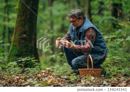 Identification if it's safe one. Mushroom picking. Man is in the forest at daytime Identification if it's safe one. Mushroom picking. Man is in the forest at daytime 139245341