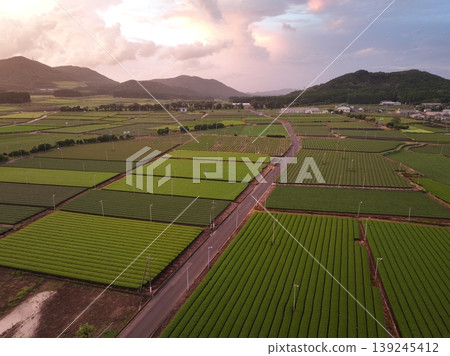 Drone aerial photography of tea plantations and sunset in Chiran, Kagoshima Prefecture. Drone aerial photography of tea plantations and sunset in Chiran, Kagoshima Prefecture. 139245412